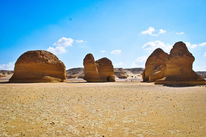 Fayoum Oasis Tour to Karanis, Qarun Lake, Wadi El Rian Waterfalls - Riding Out in a Private Air-Conditioned Vehicle