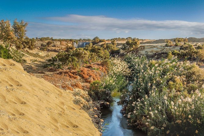 Fayoum Oasis Tour to Karanis, Qarun Lake, Wadi El Rian Waterfalls - Wadi El Rayan Waterfalls in the Desert
