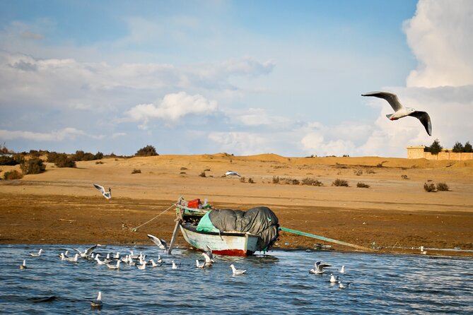 Fayoum Oasis Tour to Karanis, Qarun Lake, Wadi El Rian Waterfalls - Should You Book the Karanis, Qarun Lake, and Wadi El Rayan Tour?