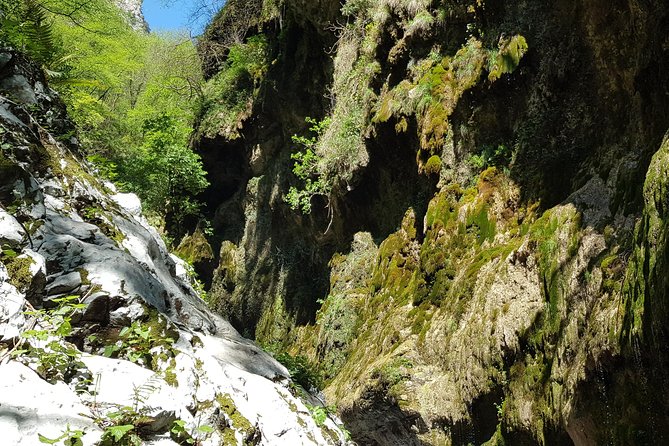 Ferriere waterfalls hike - Amalfi and Ravello Coast - Through the Ferriere Valley forest