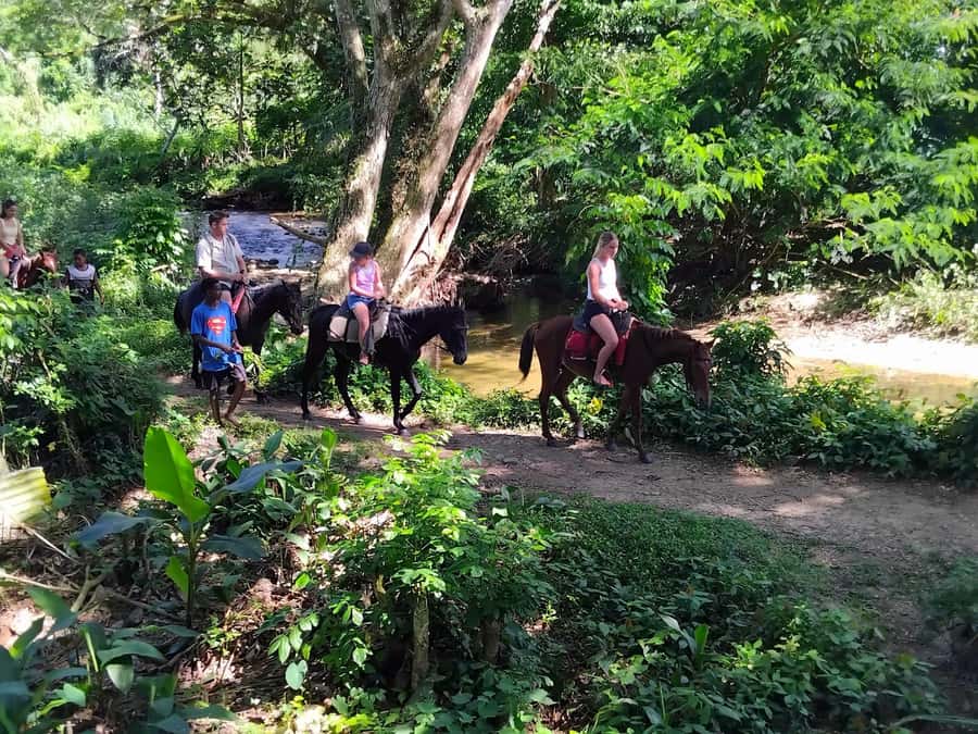 Fiji Biausevu waterfall & Village Tour - What kind of Fiji day is this?