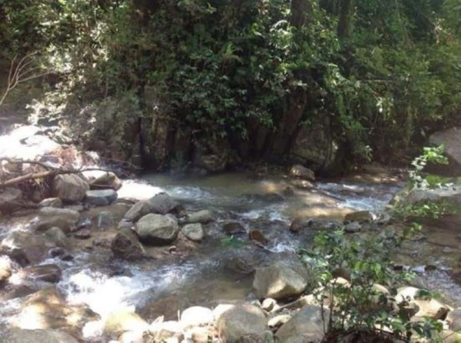 Fiji Biausevu waterfall & Village Tour - The rainforest walk to Biausevu Waterfall