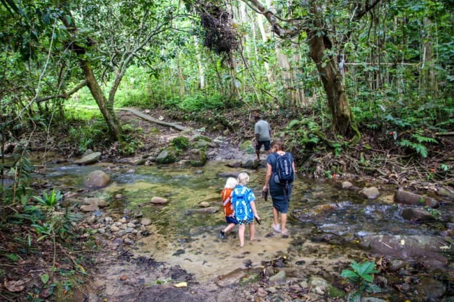 Fiji Biausevu waterfall & Village Tour - Is $119 a fair price?