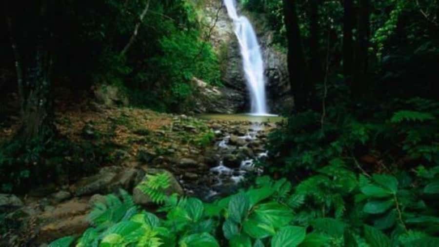 Fiji Biausevu waterfall & Village Tour - Who will enjoy this most?