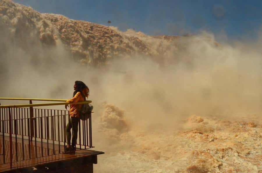 Foz do Iguaçu: Brazil/Argentina Sides Iguazu Falls Day Tour - Brazil: two hours of panoramic waterfall views