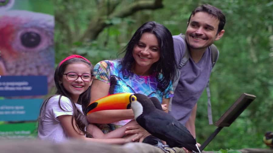 Foz do Iguaçu: Brazilian Side of the Falls + Bird Park - The panoramic elevator and the final view