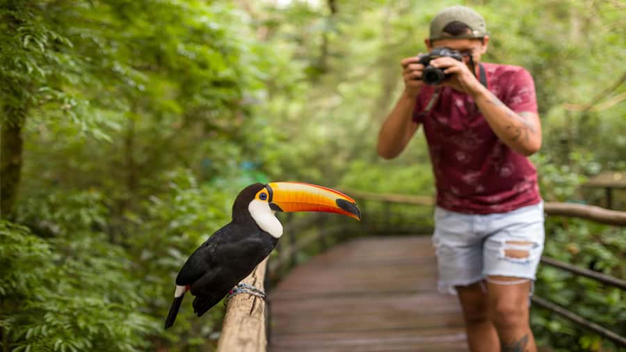 Foz do Iguaçu: Brazilian Side of the Falls + Bird Park - FAQ