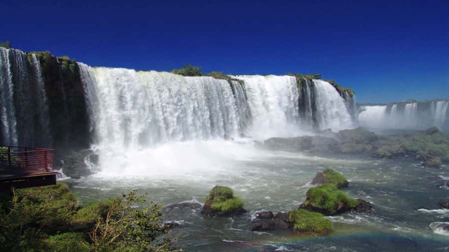 Foz do Iguaçu: Brazilian Side of the Falls + Bird Park - The Bird Park: colorful, close-up, and worth your time