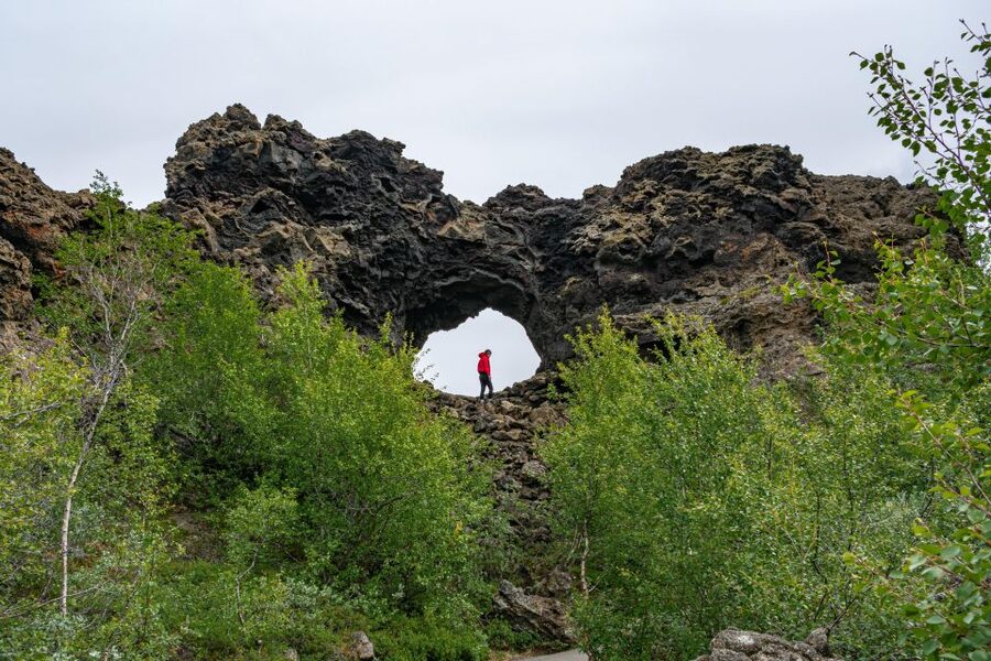 From Akureyri: Myvatn Lake, Craters, & Waterfall Tour - Value at $187, especially for cruise passengers