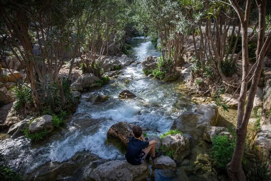 From Alicante and Benidorm: Famous Algar Waterfall Tour (private transport) - Key points to know before booking