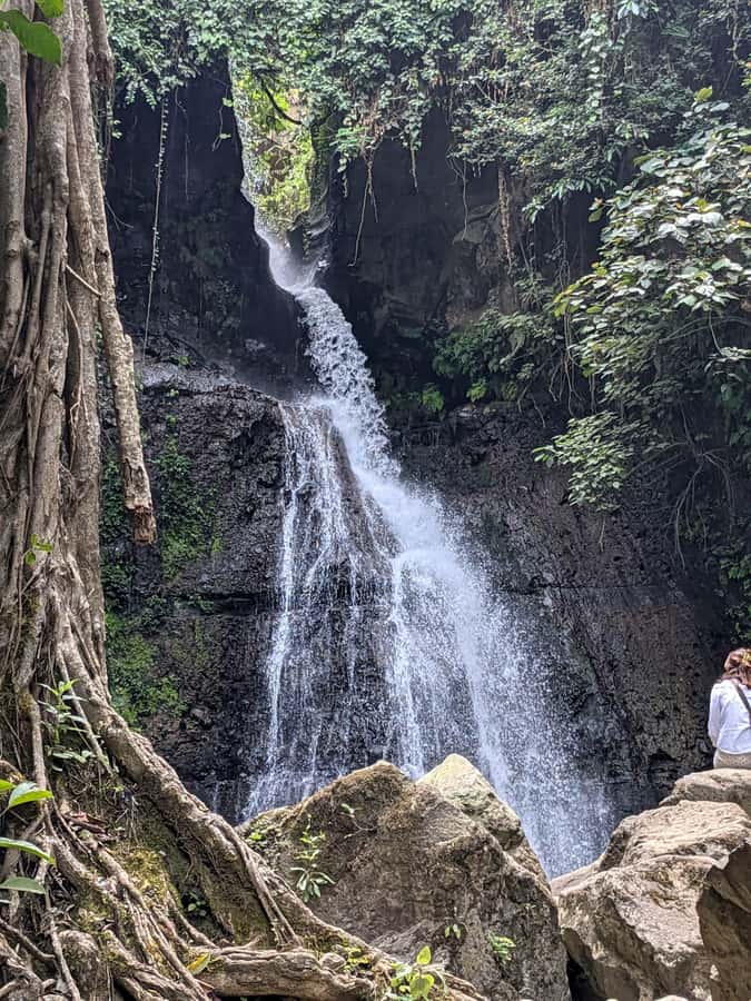 From Arusha: Coffee Farm and Mangalia Waterfalls Tour - Why this four-hour outing works so well