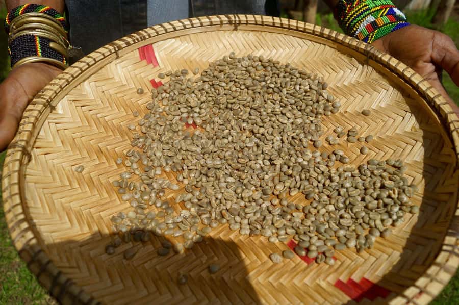 From Arusha: Coffee Farm and Mangalia Waterfalls Tour - Final verdict: book it if you want coffee with your scenery