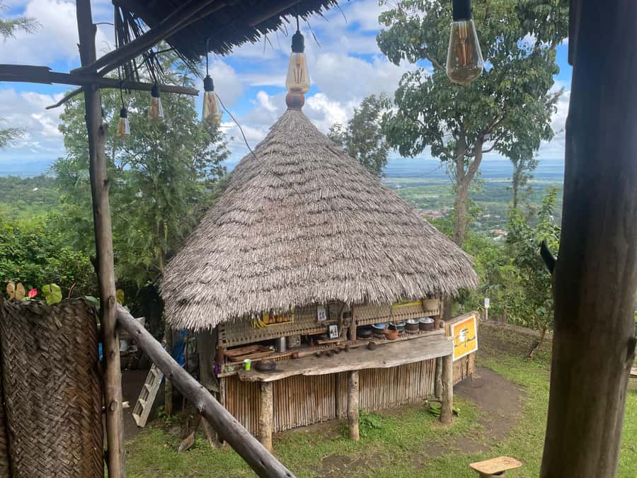 From Arusha: Coffee Farm and Mangalia Waterfalls Tour - Starting from Arusha and reaching the coffee farm