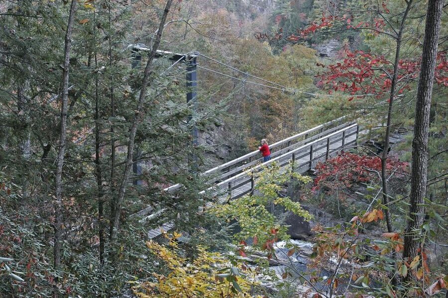 From Atlanta: Tullulah Falls Slingshot Self Guided Tour - Weather, helmets, and comfort