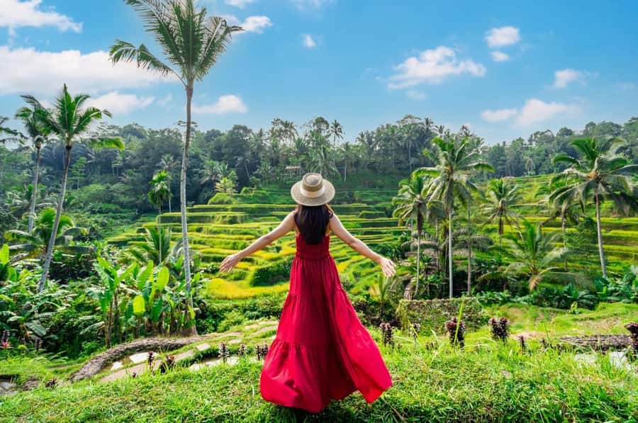 From Bali: Saraswati Temple, Monkey Forest, Ubud Waterfalls - What this Ubud day tour does well
