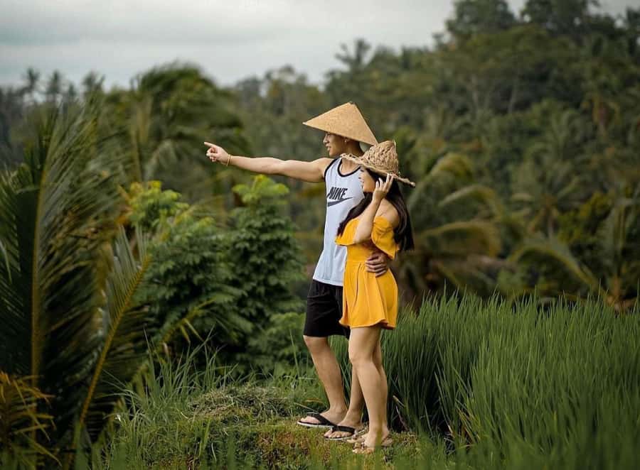 From Bali: Saraswati Temple, Monkey Forest, Ubud Waterfalls - Monkey Forest: memorable, green, and not entirely carefree