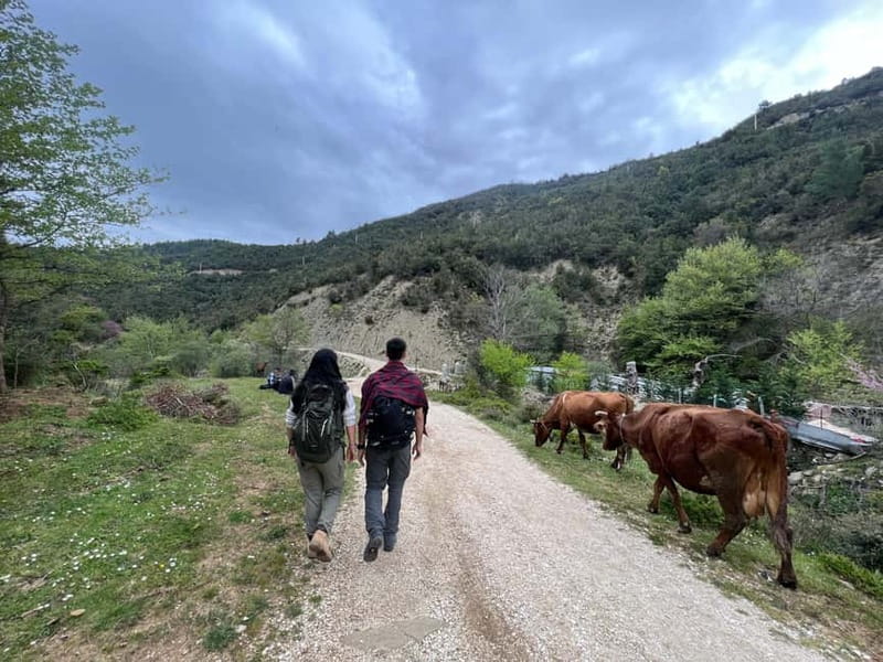 From Berat: Osumi Canyon and Bogova Waterfall tour. - Key points to know before booking