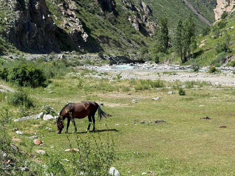 From Bishkek : Sokuluk Gorge & Belogorka Waterfall (One Day) - What the $125 Price Gets You