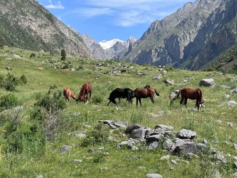 From Bishkek : Sokuluk Gorge & Belogorka Waterfall (One Day) - The Open Meadows and Vladimir Putin Peak