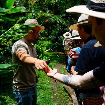 From Bogotá: Coffee Farm and Tequendama Falls Tour