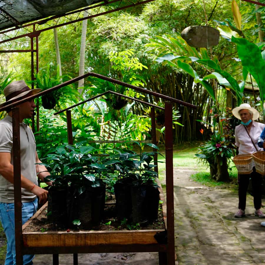 From Bogotá: Coffee Farm and Tequendama Falls Tour - Who will enjoy this day trip?