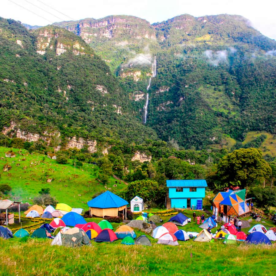 From Bogota: La Chorrera Waterfall Guided Hike - Why the Forests Matter
