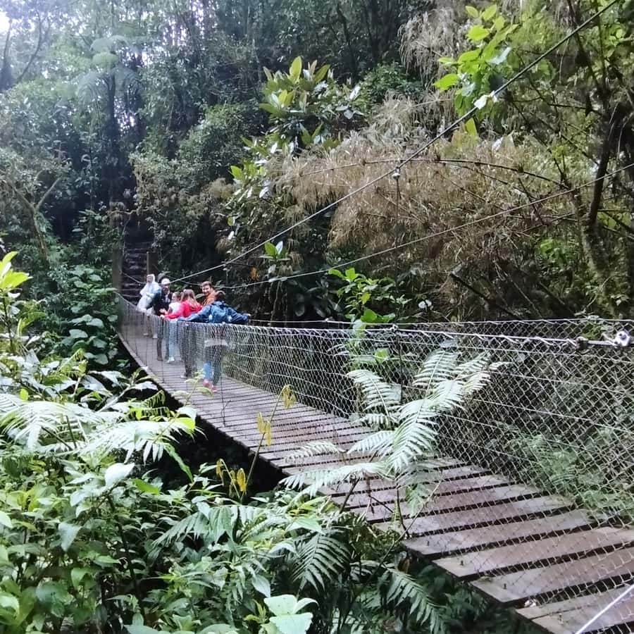 From Bogota: La Chorrera Waterfall Guided Hike - Food, Snacks, and Small Comforts