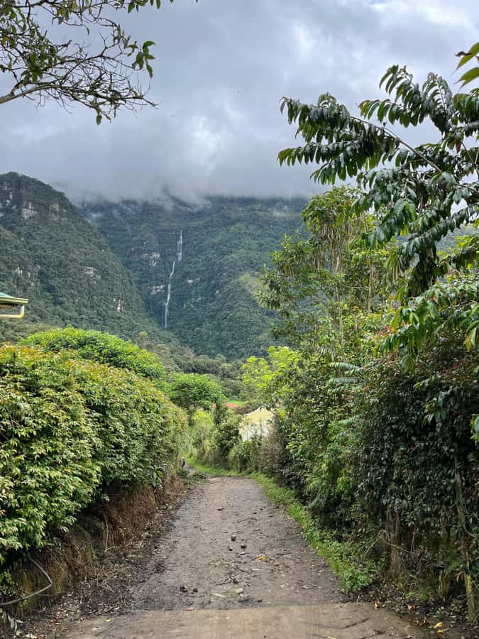 FROM BOGOTA: Tour to La Chorrera, Colombia's highest waterfall. - Leaving Bogota in a private vehicle