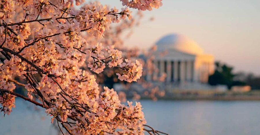 From Boston: 4-Day Tour to New York, D.C.&Niagara Falls - Day one: Manhattan sights and an optional Liberty Cruise