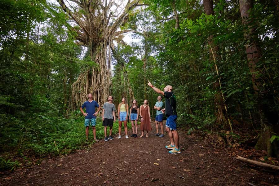 From Cairns: Barefoot Tablelands Waterfall & Rainforest Tour - Why the Atherton Tablelands make a good day trip from Cairns