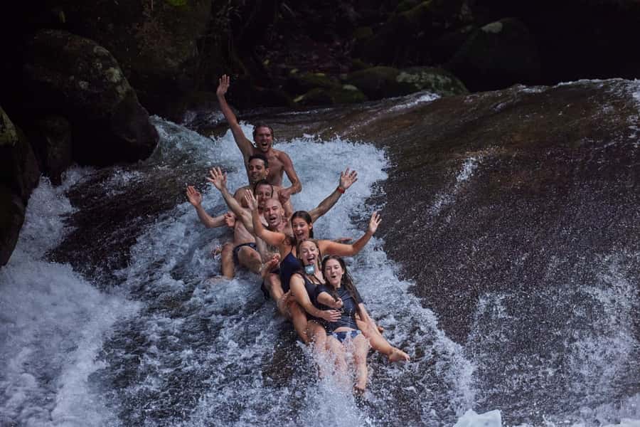 From Cairns: Barefoot Tablelands Waterfall & Rainforest Tour - Curtain Fig Tree, a memorable first look at the rainforest