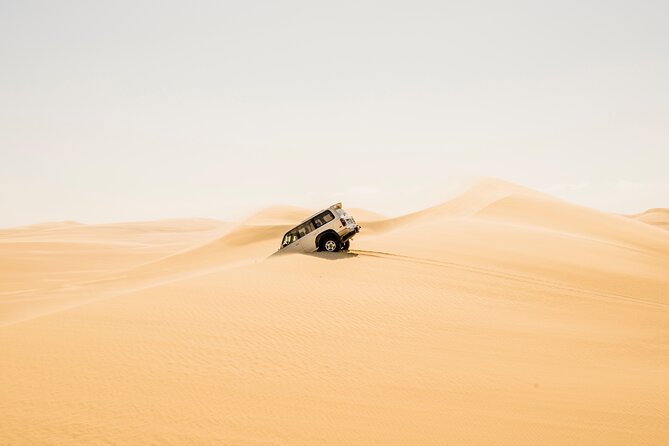 From Cairo: Desert Safari, Waterfalls, Sand boarding and Camel ride with Lunch - Why Wadi El Rayan makes a good change from Cairo