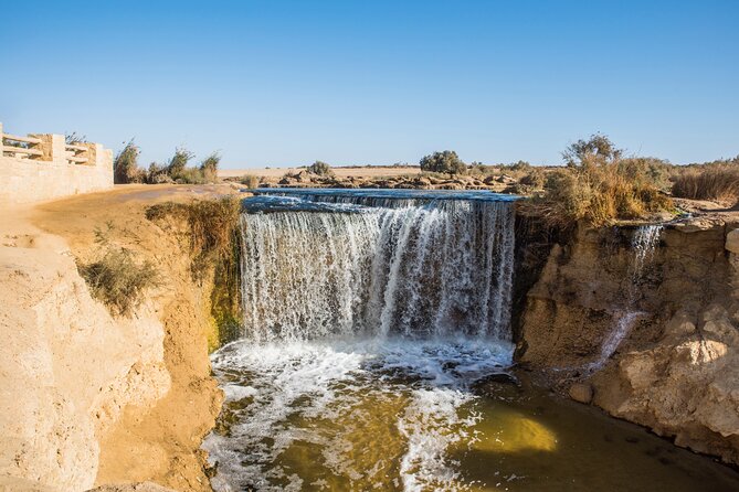 From Cairo: Desert Safari, Waterfalls, Sand boarding and Camel ride with Lunch - Camel riding in the desert