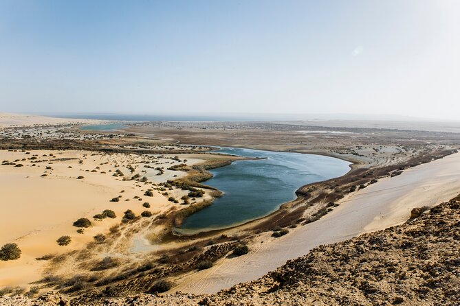 From Cairo: Desert Safari, Waterfalls, Sand boarding and Camel ride with Lunch - Sandboarding down the dunes