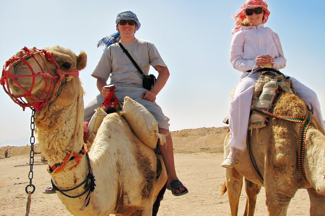From Cairo: Desert Safari, Waterfalls, Sand boarding and Camel ride with Lunch - Guides, drivers, and the human side of the day