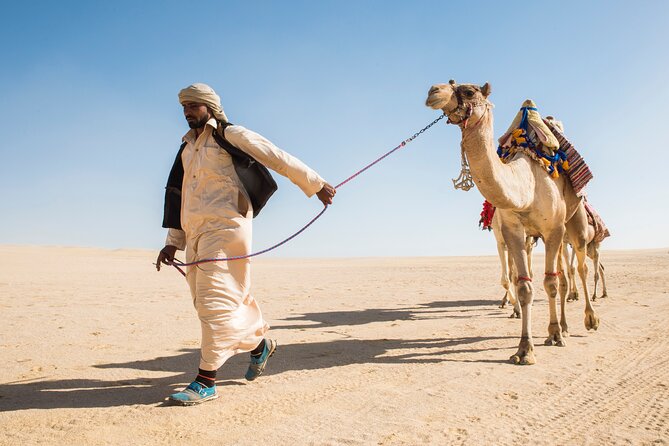 From Cairo: Desert Safari, Waterfalls, Sand boarding and Camel ride with Lunch - Wadi El Rayan’s waterfalls and lakes