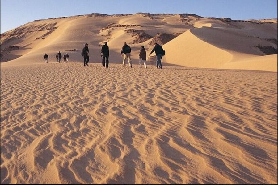 From Cairo: Whale Valley and Wadi El Rayan Waterfalls Tour - Key Points to Know