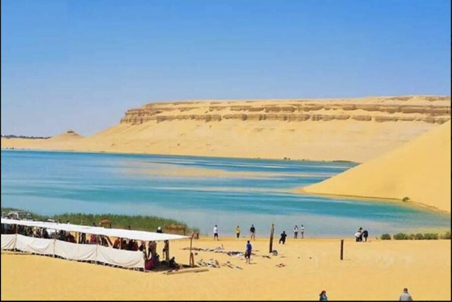From Cairo: Whale Valley and Wadi El Rayan Waterfalls Tour - Sandboarding and the Desert Ride