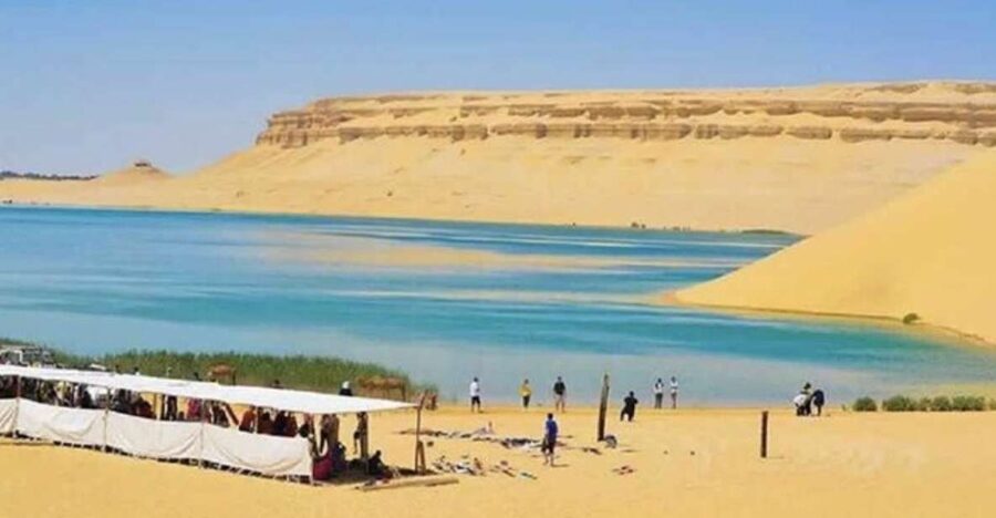 From Cairo: Whale Valley and Wadi El Rayan Waterfalls Tour - Tunis Village and the First Taste of Fayoum