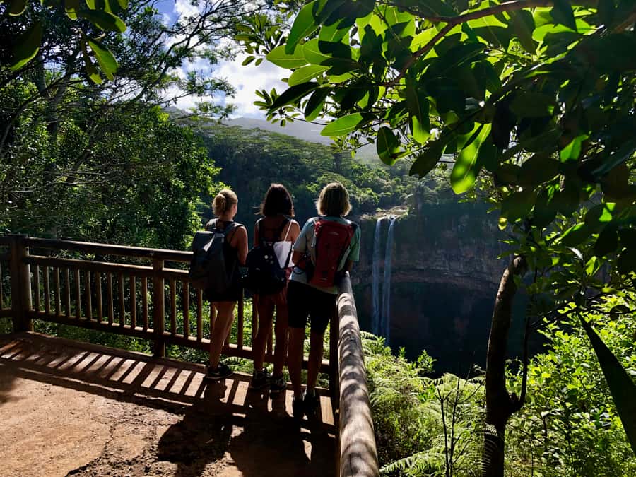 From Chamarel: Waterfall Eco-Hike Adventure - Key points before you book