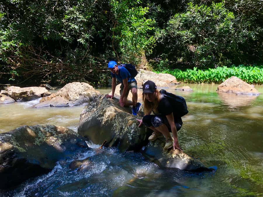 From Chamarel: Waterfall Eco-Hike Adventure - Four crossings and a changing river