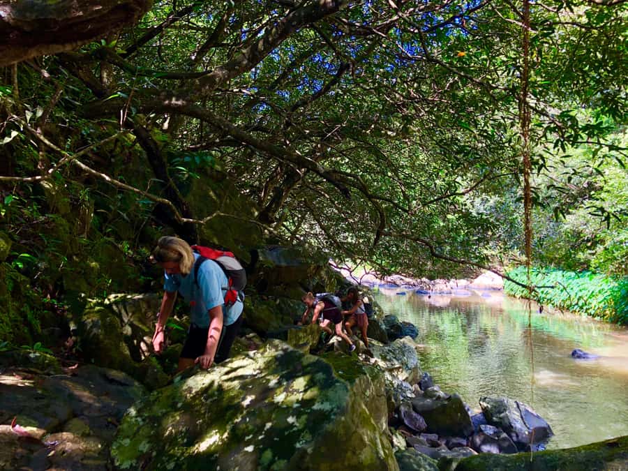 From Chamarel: Waterfall Eco-Hike Adventure - What the $82 price really covers