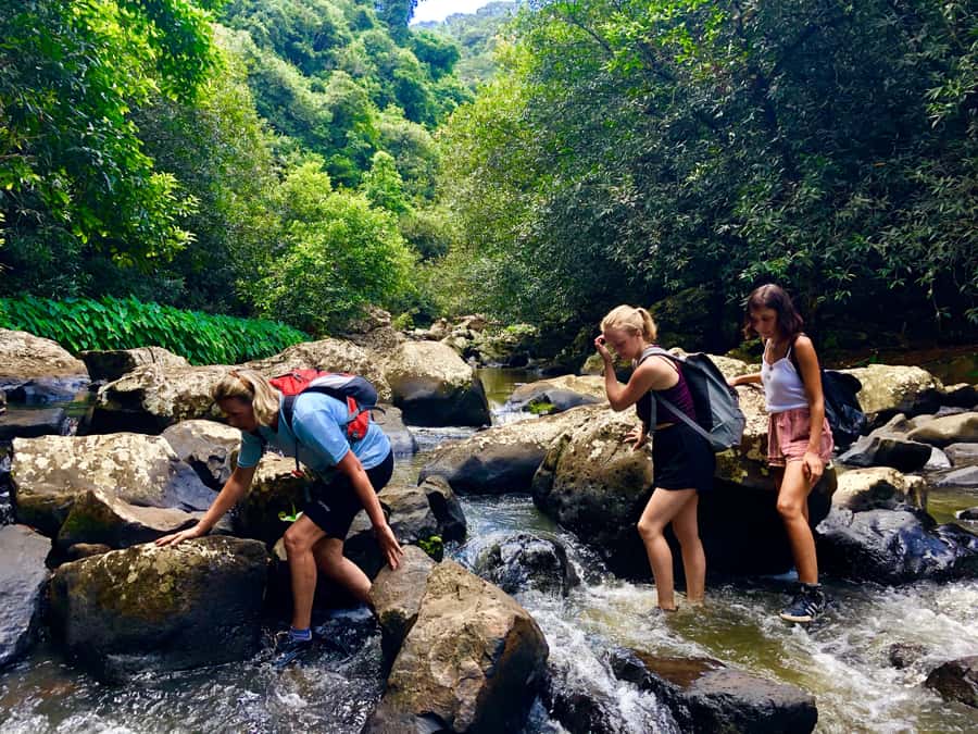 From Chamarel: Waterfall Eco-Hike Adventure - The gorge descent is the real beginning