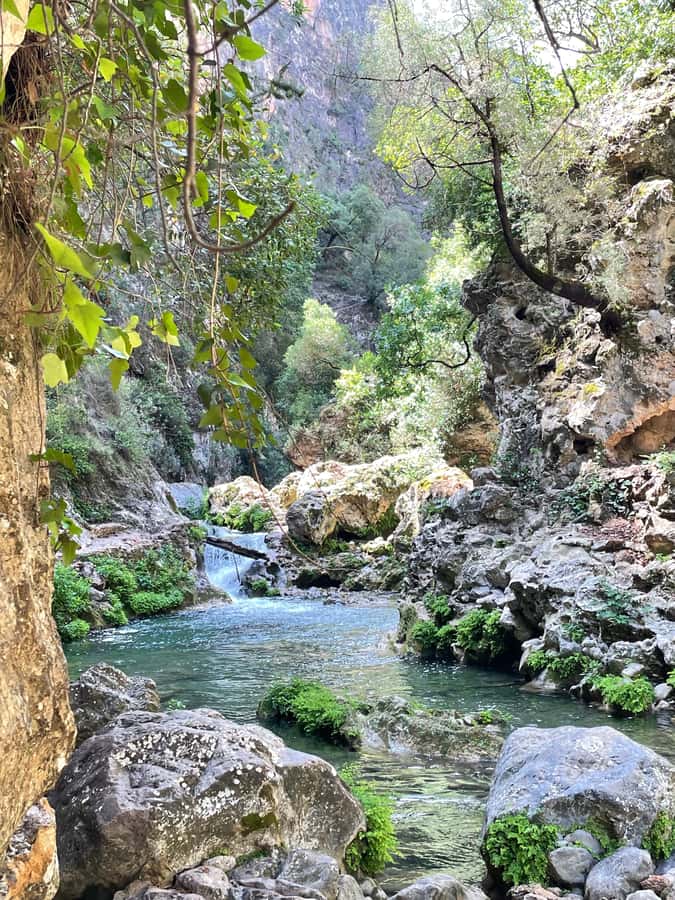 From Chefchaouen: Full-Day Trip to Akchour Waterfalls - What the Guides Add