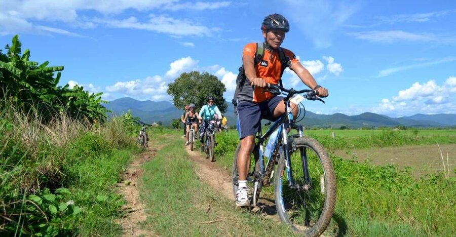 From Chiang Mai: Mae Taeng Valley and Waterfalls Cycle Tour - Five things to know before you book