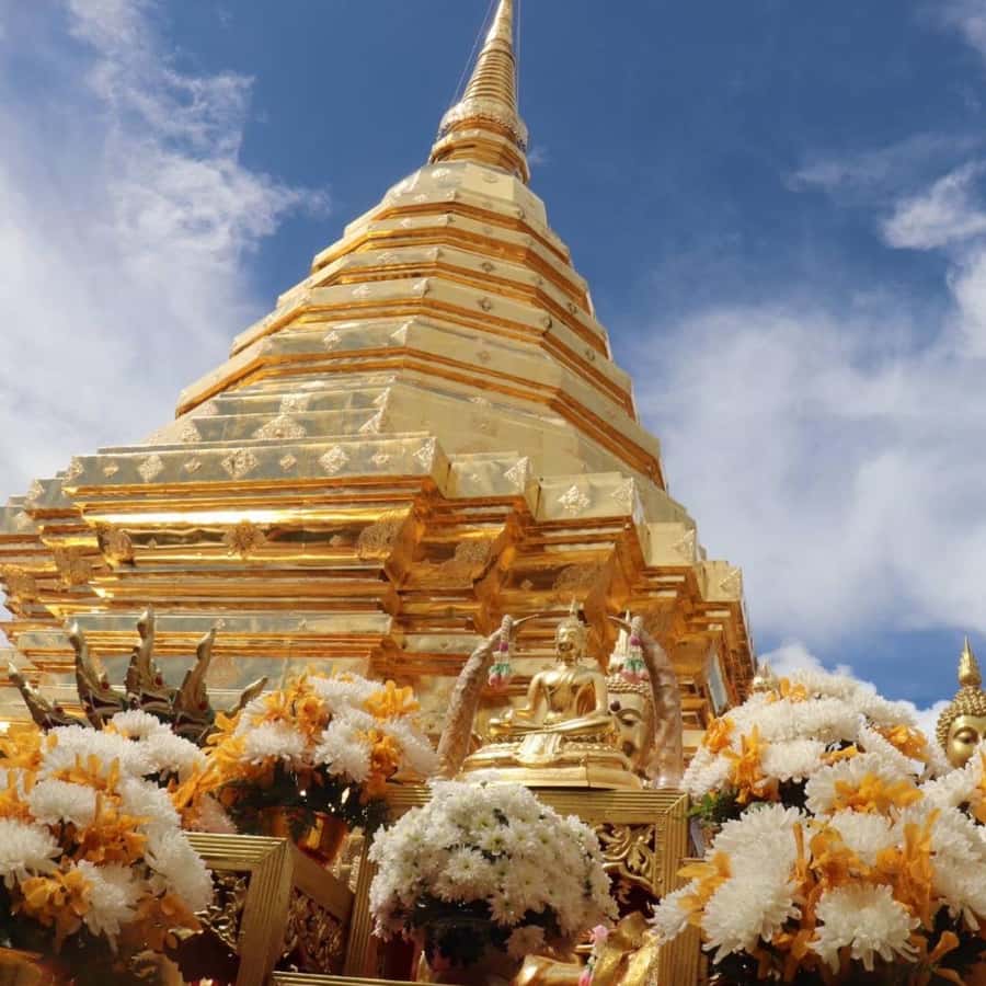 From Chiang Mai: Temples, Sticky Waterfall, and Orchid Farm - Key points to know before booking