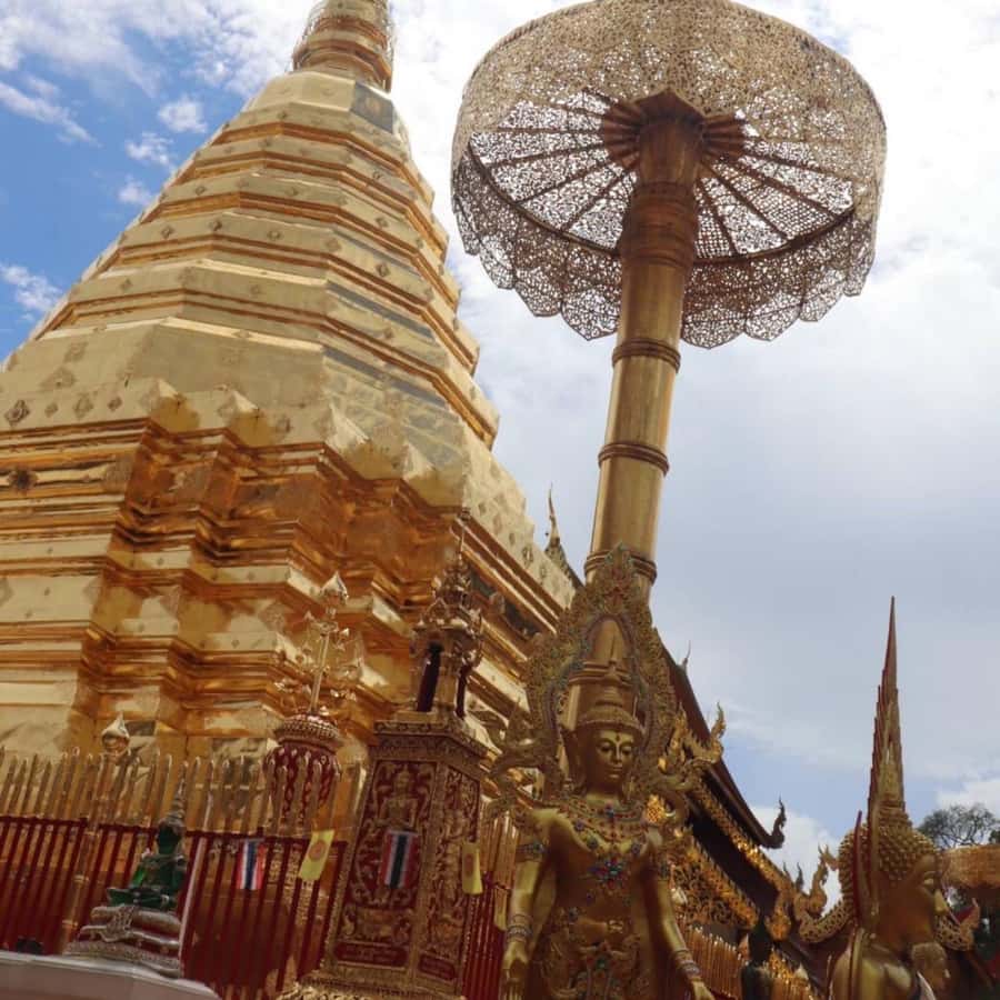 From Chiang Mai: Temples, Sticky Waterfall, and Orchid Farm - Who should book this Chiang Mai outing?