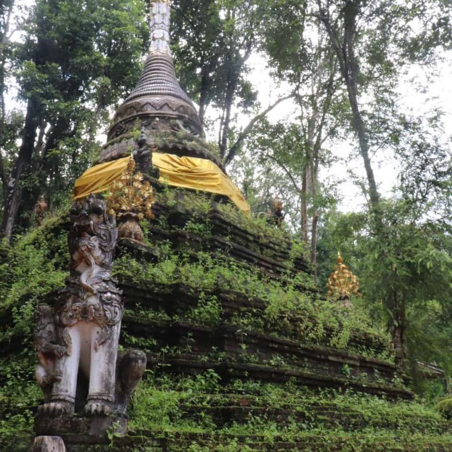 From Chiang Mai: Temples, Sticky Waterfall, and Orchid Farm - Lunch at the orchid and butterfly farm