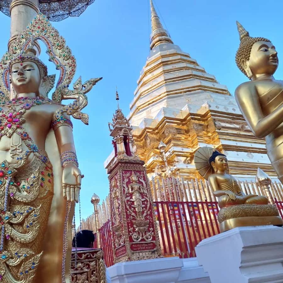 From Chiang Mai: Temples, Sticky Waterfall, and Orchid Farm - Guides, transport, and group size