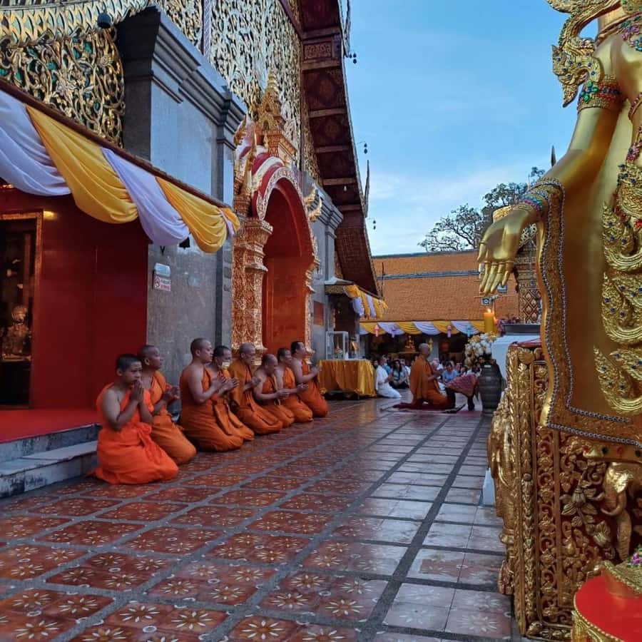 From Chiang Mai: Temples, Sticky Waterfall, and Orchid Farm - Is $80 a fair price?